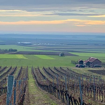 Kuca Za Odmor Kiss-Karanac,Baranja Villa Buitenkant foto