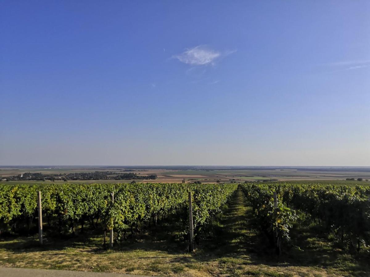 Kuca Za Odmor Kiss-Karanac,Baranja Villa Buitenkant foto