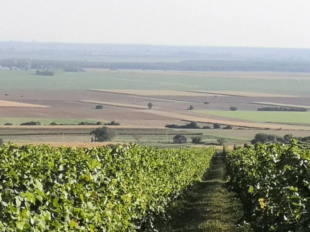 Kuca Za Odmor Kiss-Karanac,Baranja Villa Buitenkant foto