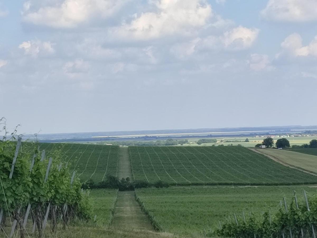 Kuca Za Odmor Kiss-Karanac,Baranja Villa Buitenkant foto