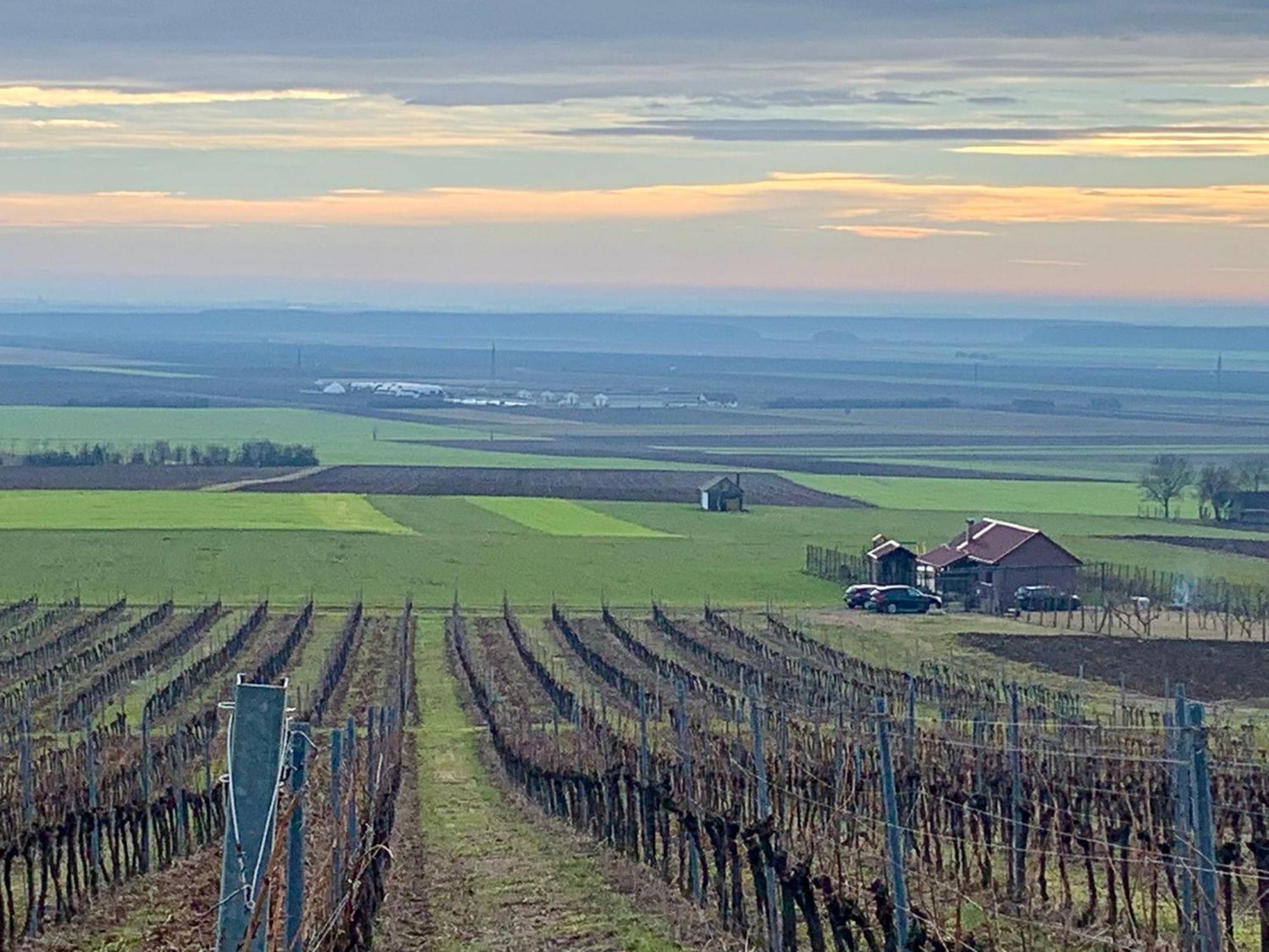 Kuca Za Odmor Kiss-Karanac,Baranja Villa Buitenkant foto